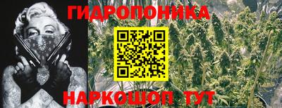 тгк Тара