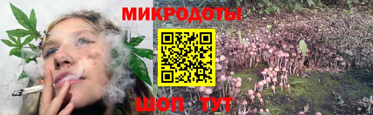 Псилоцибиновые грибы GOLDEN TEACHER  Вход с VPN  Петрозаводск 